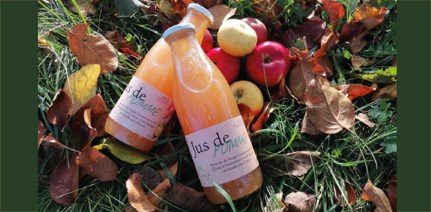 jus de pommes jus de pommes